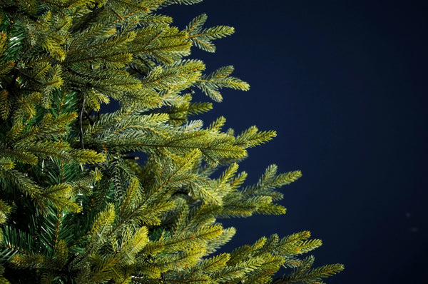 8FT/240CM PRELIT ROCKY MOUNTAIN PINE TREE - 661513