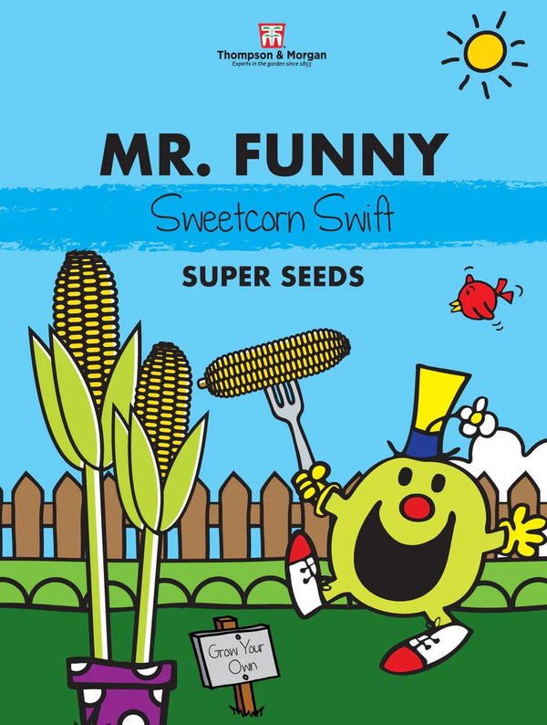 Mr. Men & Little Miss Seeds