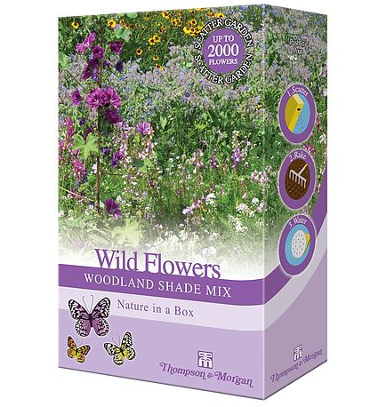 Wildflowers 'Woodland Shade Mix' - Seed Scatter Pack - 3811476