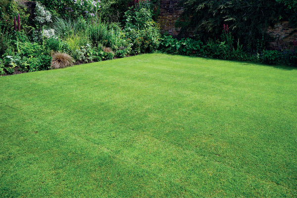 Germinal Leisure Lawn - 10kg