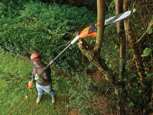 Black and Decker 800W Electric Pole Saw 25cm - 391253