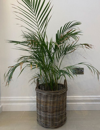 Small Round Kubu Basket - 641060