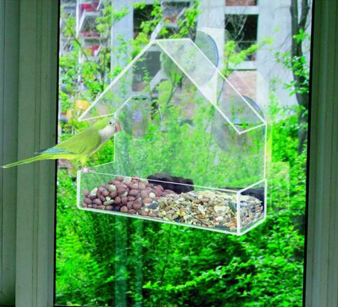 Redwood Leisure Perspex Window Bird Feeder - 391572