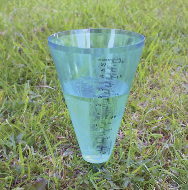 Graduated Rain Gauge - 391181