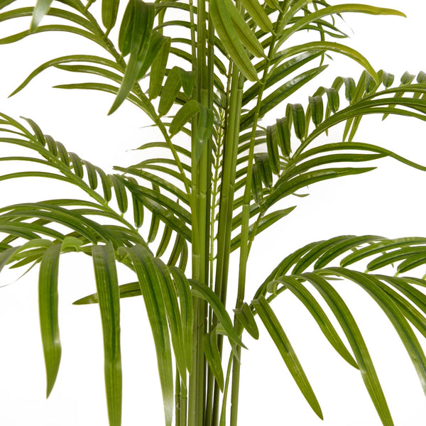 Artificial Lady Palm Tree 170cm