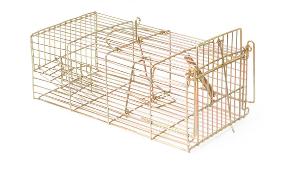 Racan Rat Cage - 6400059