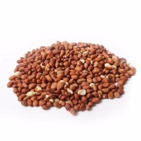 2KG Wild Bird Peanuts - 3950612